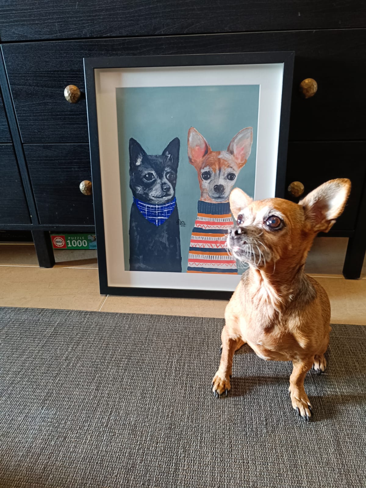 Pet portrait deposit