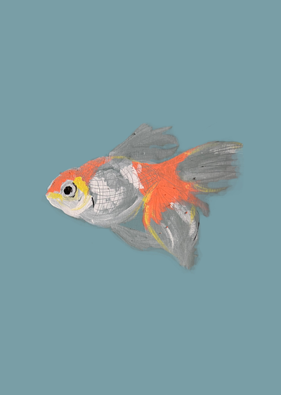 Mr Fish print