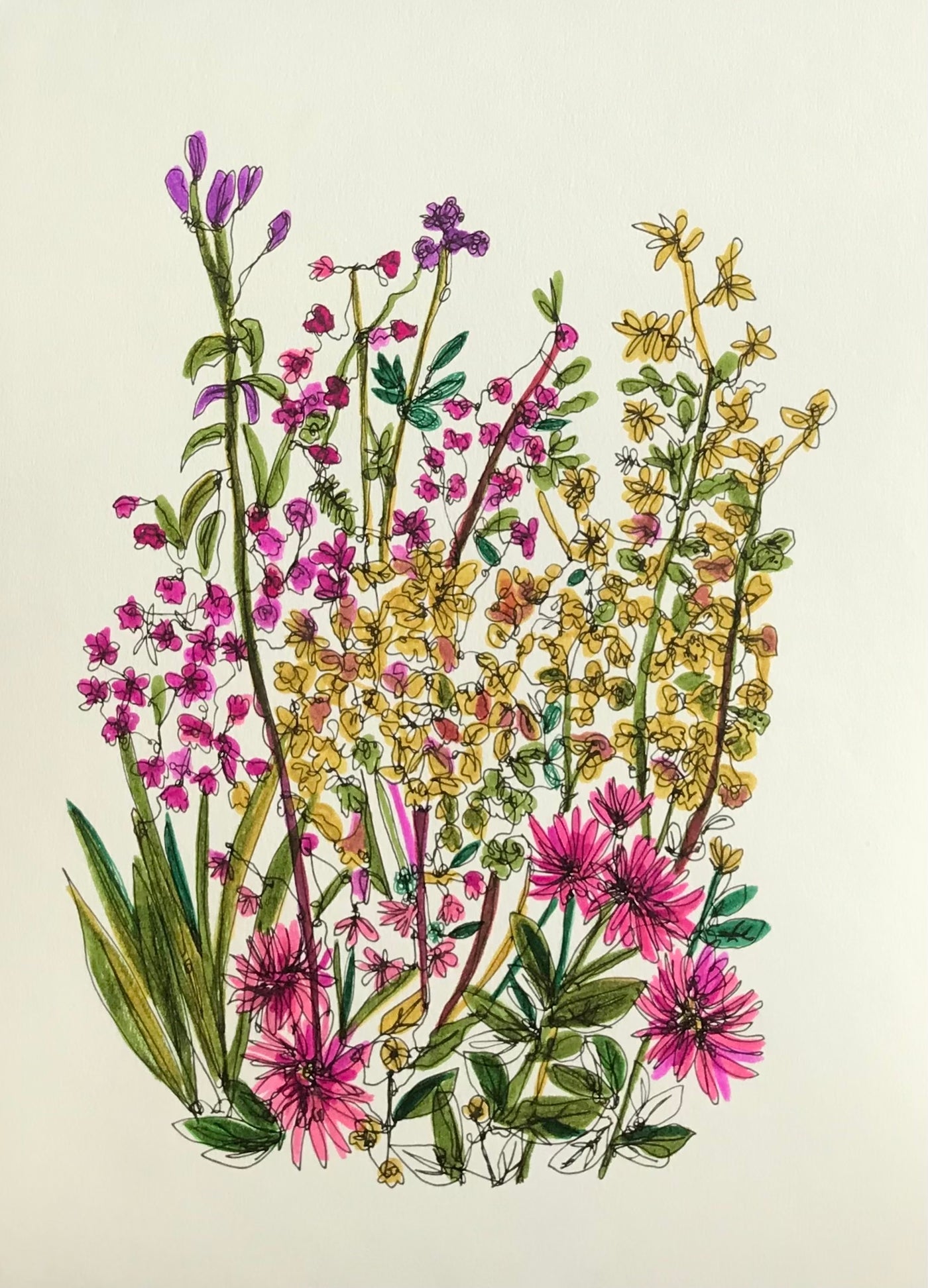 January guest Artist: Botanical Continuous Line Drawing Workshop With Ruth Allen