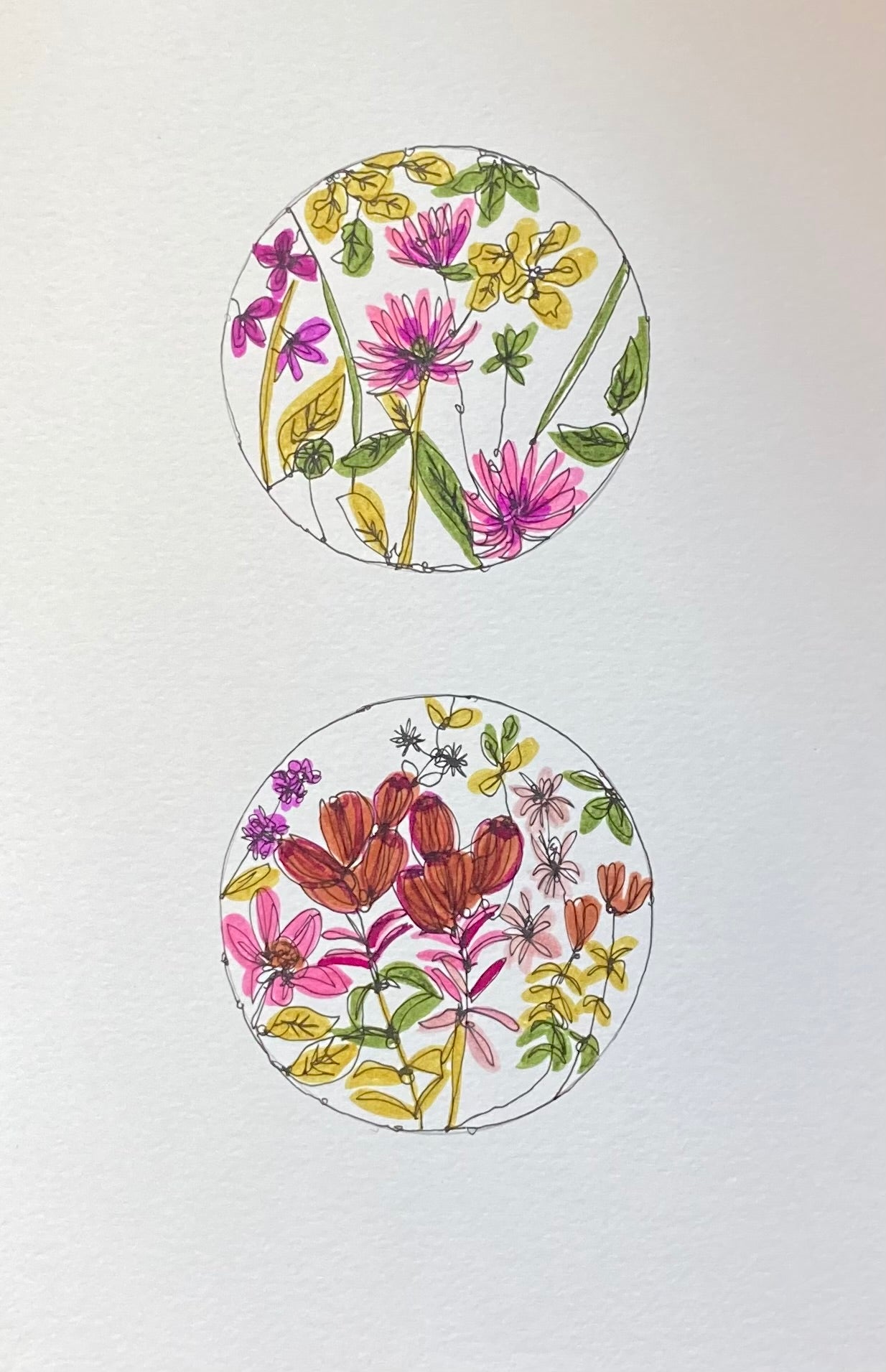 January guest Artist: Botanical Continuous Line Drawing Workshop With Ruth Allen