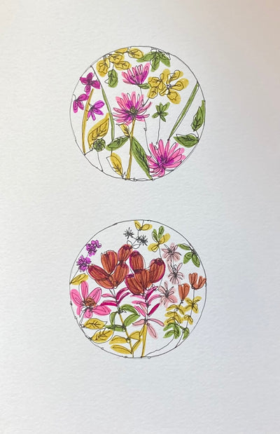 January guest Artist: Botanical Continuous Line Drawing Workshop With Ruth Allen