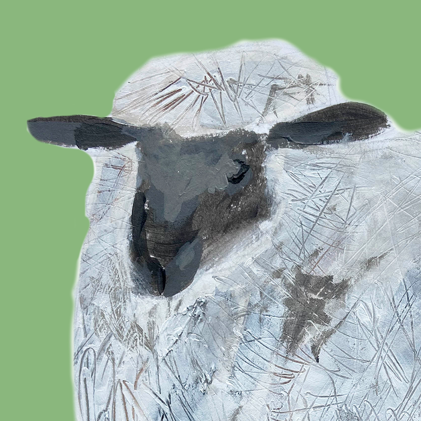 Sheep on a hill Greetings Card