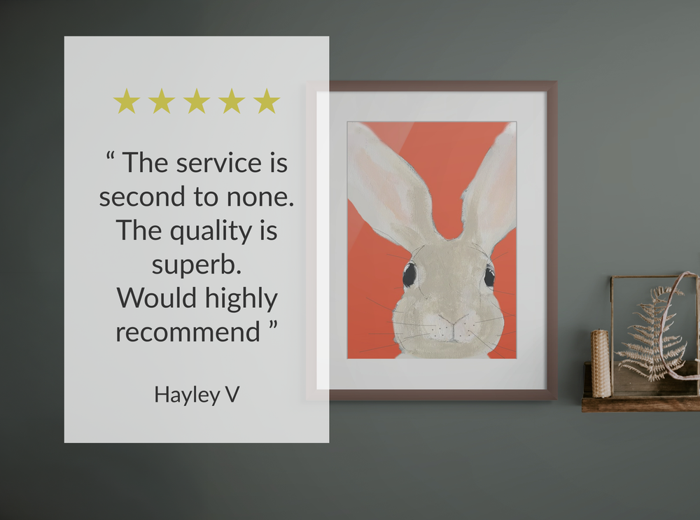 A framed art print featuring a stylised illustration of a rabbit on a coral background, displayed on a dark grey wall next to a decorative shelf with a fern. A large semi-transparent review card overlays the left side of the frame, containing a five-star rating and a quote by Hayley V.