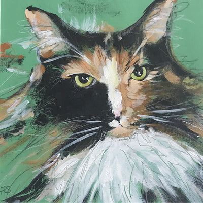 Tortie Cat Greetings Card