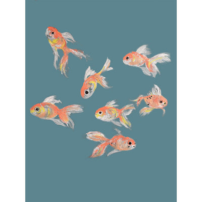 Goldfish Glint  print