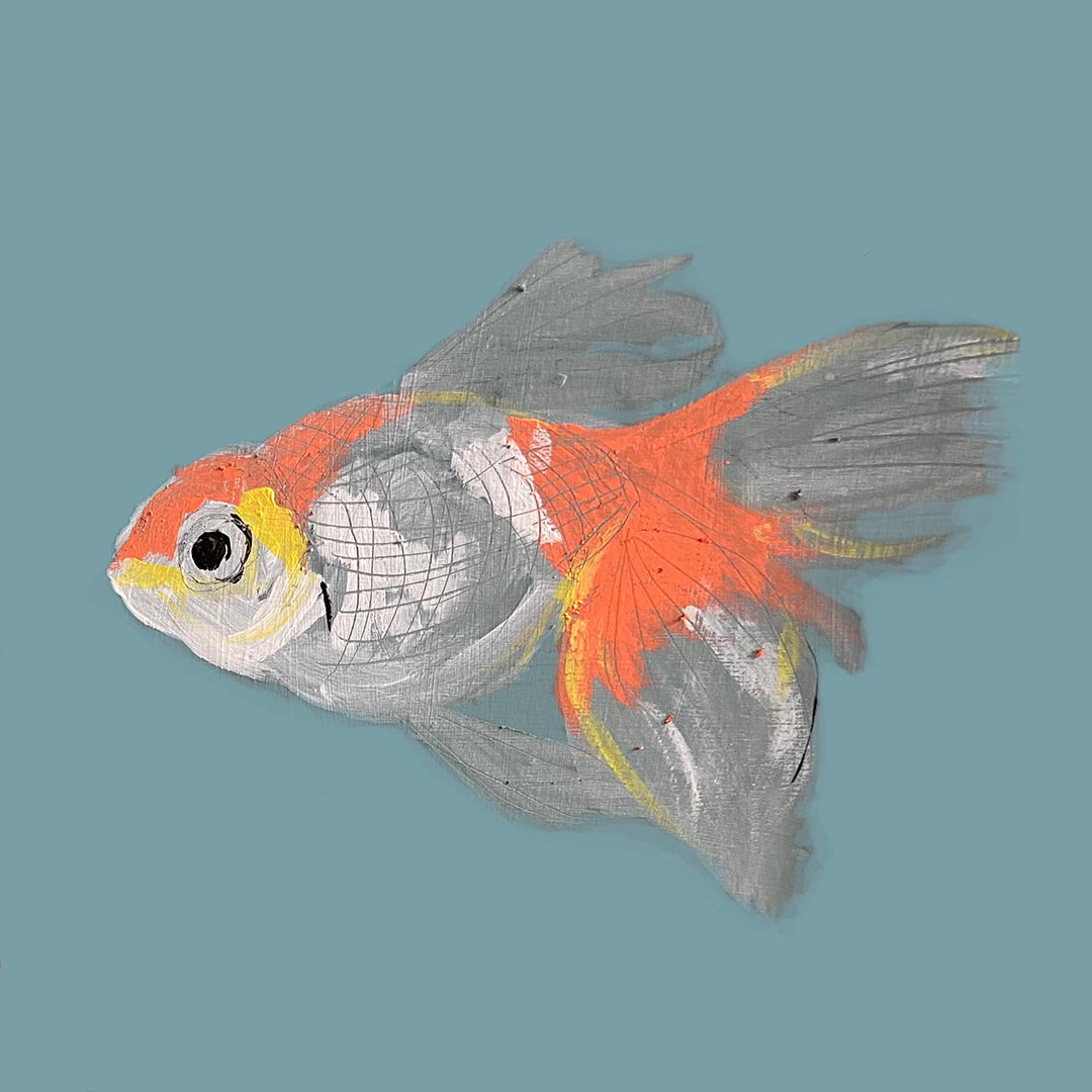 Mr Fish greetings card