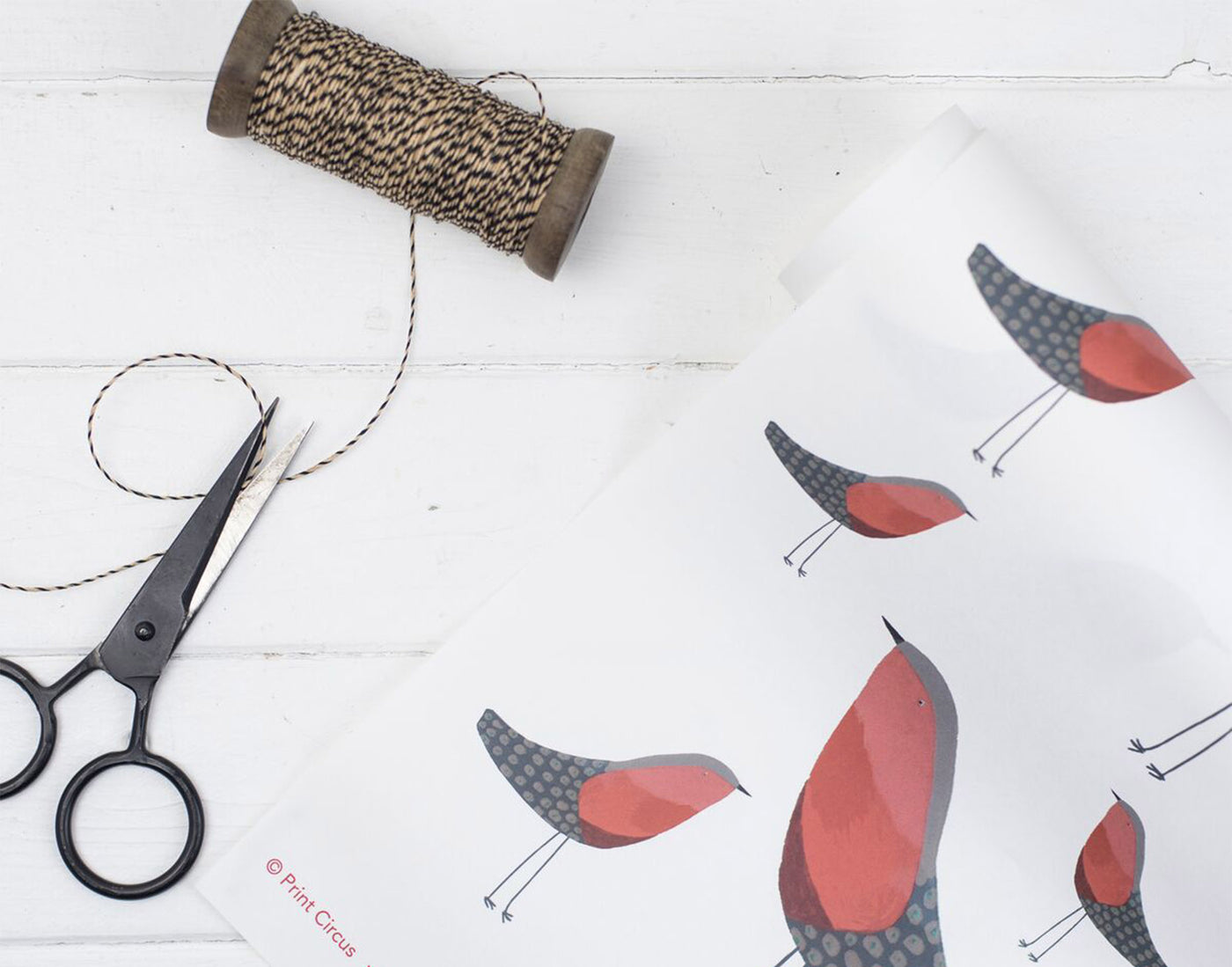 Christmas Robin Gift Wrap