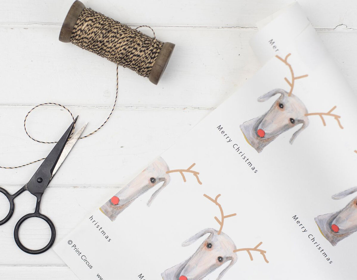 Rosie as Rudolf Gift Wrap